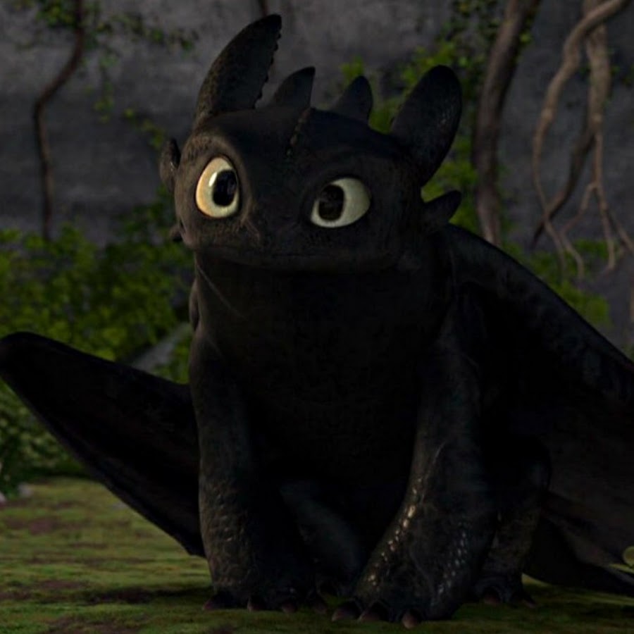 HTTYD Lover - YouTube 