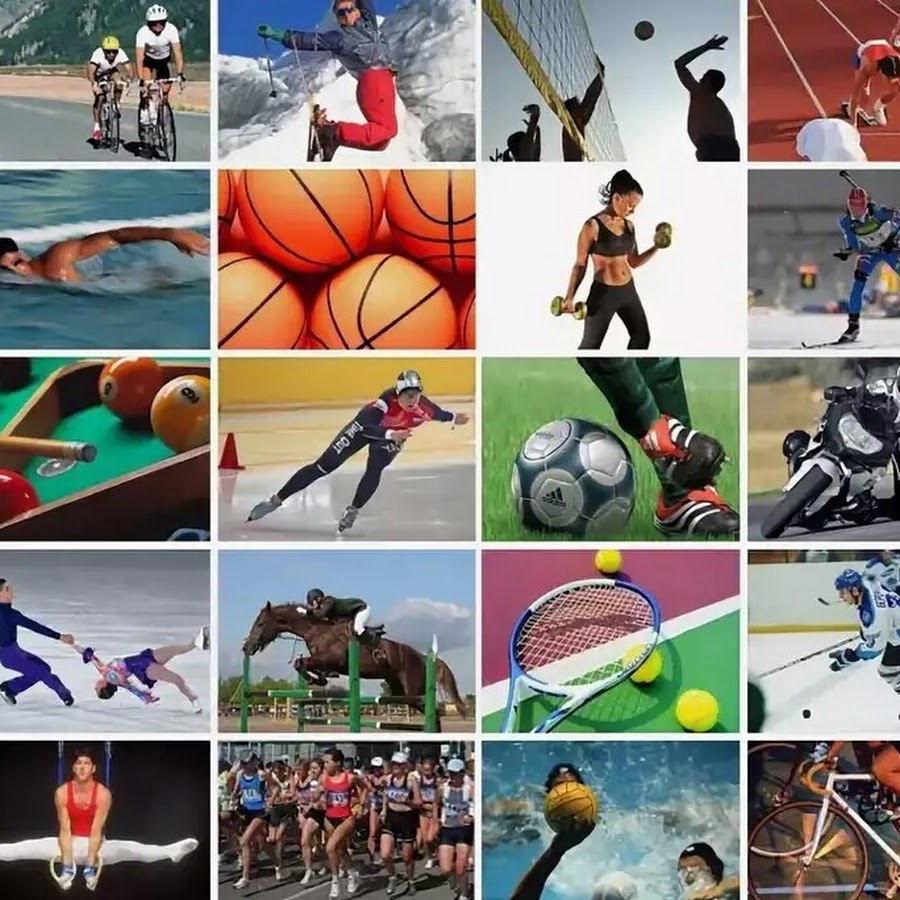 All kinds of sports. Спортивные увлечения. Спортивный коллаж. Изображения разных видов спорта. Много видов спорта.