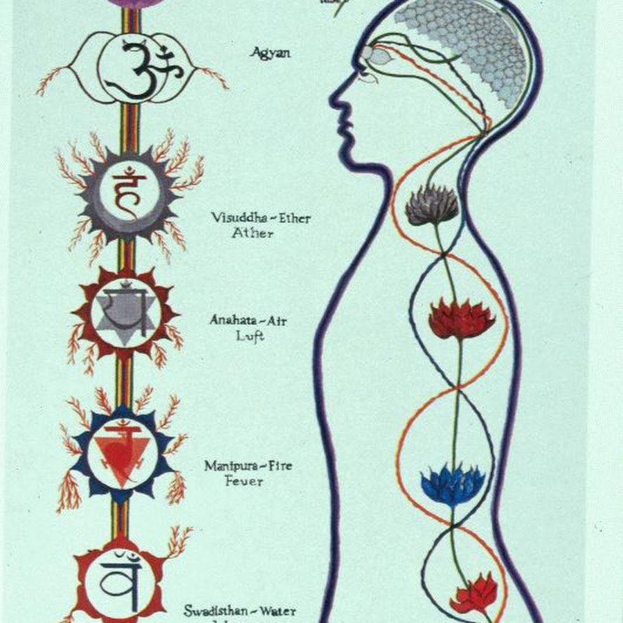 Косица. Как выглядит косица. Косица намерения чакры. Косица человека. Косица намерения Анахата.