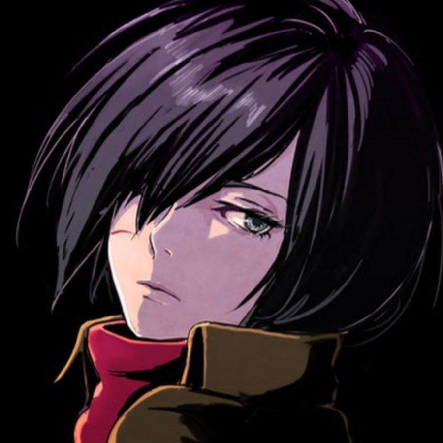 Mikasa steam profile фото 18