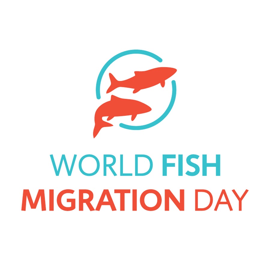 World fish. World Fish Migration Day. Ворлд Фиш. Ворд Фиш.