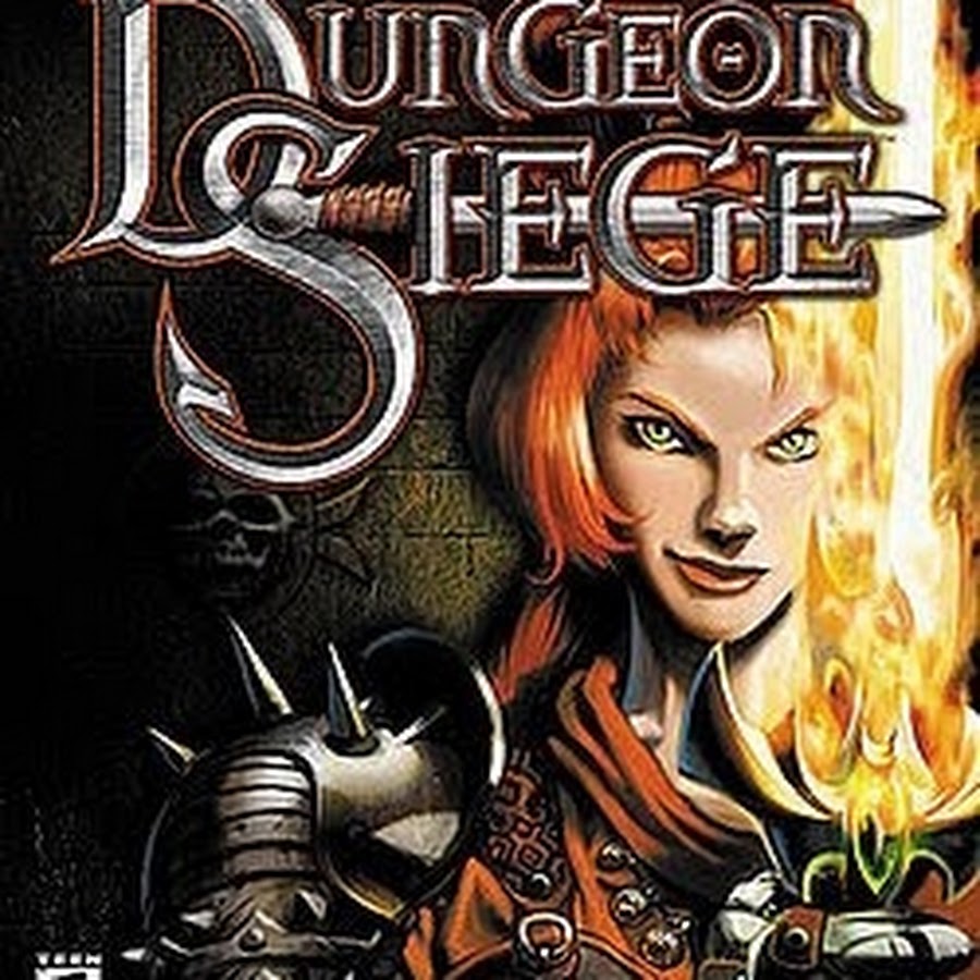 Dungeon siege 2 через стим фото 69