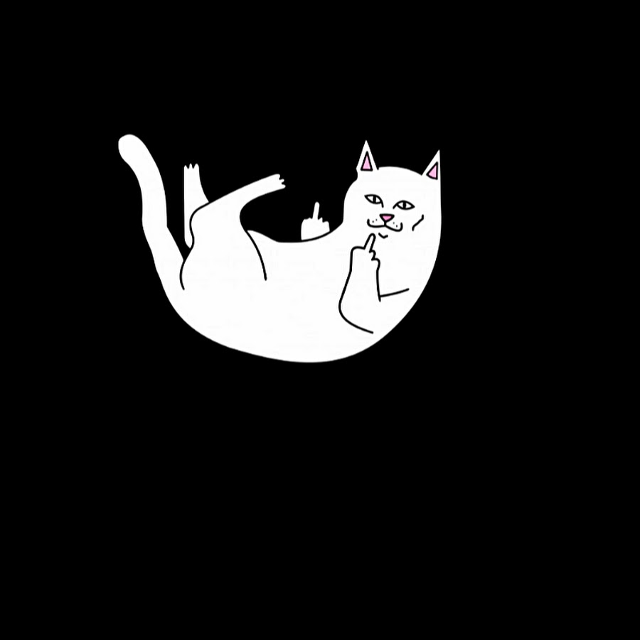 Черно белый котик мем