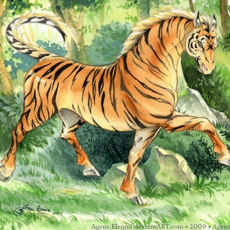 Гибрид рисунок. Тайгер лошадь. Мифический тигр. Рисунки фантастических животных. Тигр и лошадь.