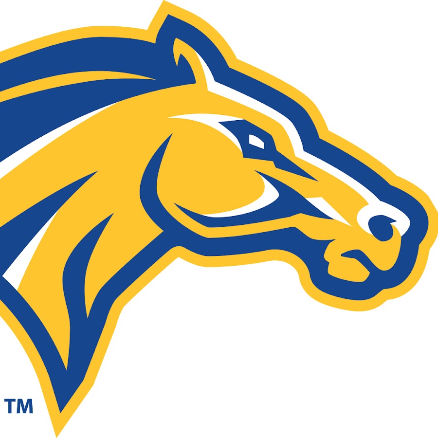 Monroe Mustangs Men's Basketball Rolls to 32-Point Victory over Harford -  Monroe College Athletics