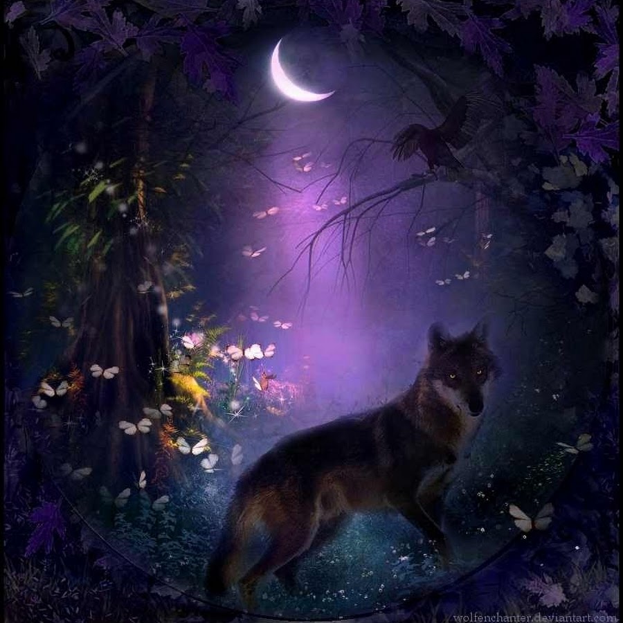 Ночь волков читать. Волк сказочный. Волк в ночи. Мистические волки. Волк фэнтези.