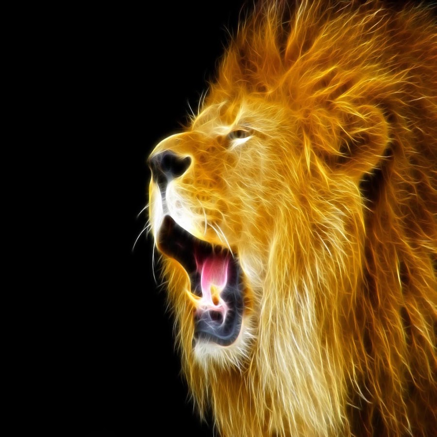 Звук льва слушать. Огненный Лев. Огненный Лев фото. Красивый Огненный Лев. Лев музыка.