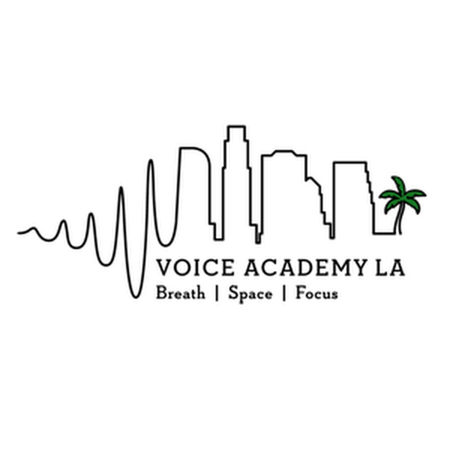 La academy. Voice Academy Тверь.