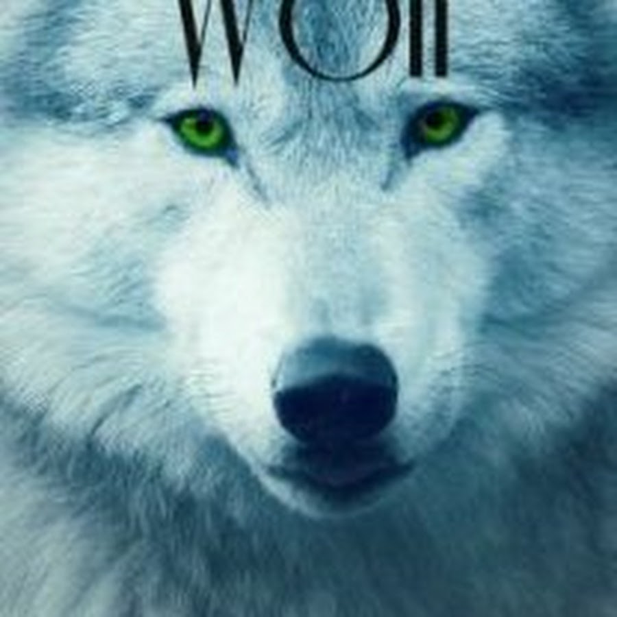 Эпоха волка. Обложка White Wolf. Игровой автомат с белым волком. Театр белого волка.