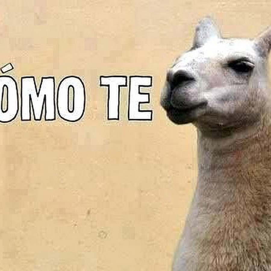 Мемы про мемы на английском. Мемы про английский язык. Duolingo spanish or vanish meme. Испанские мемы. Инглиш ор спаниш в чем мем.