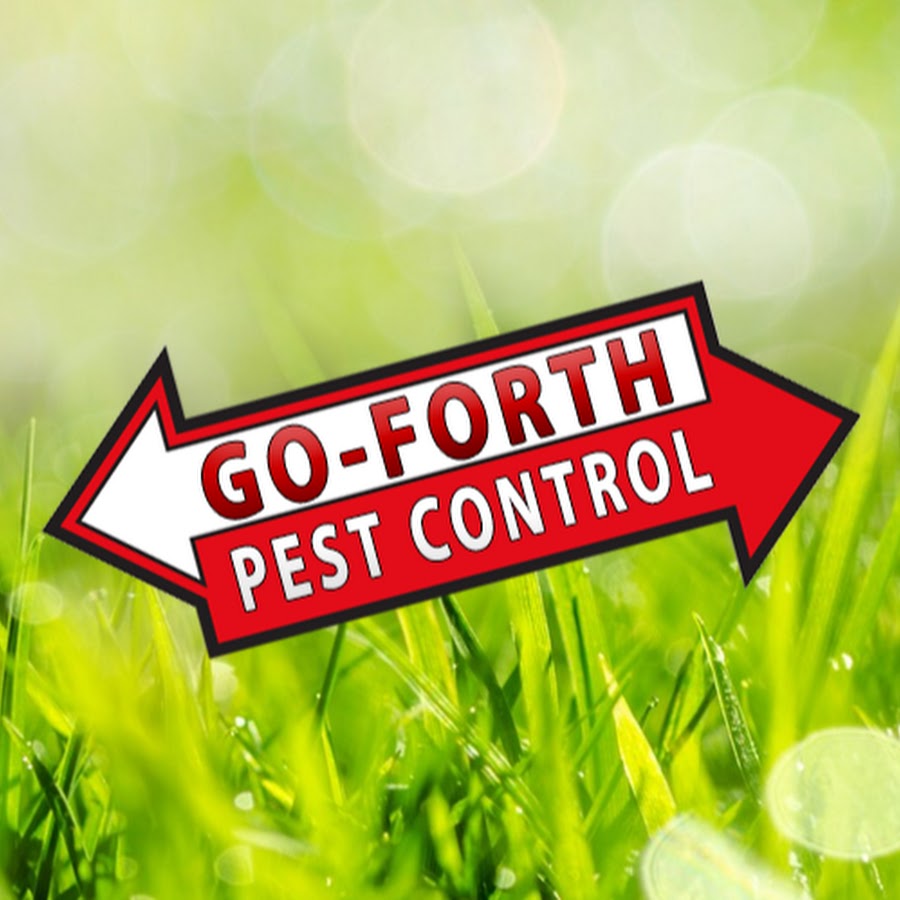 AOPolaRWotxaZLFNNwrpc9KgdS3_5tAmJKBjvV6O8hGuQ=s900ckc0x00ffffffnorj