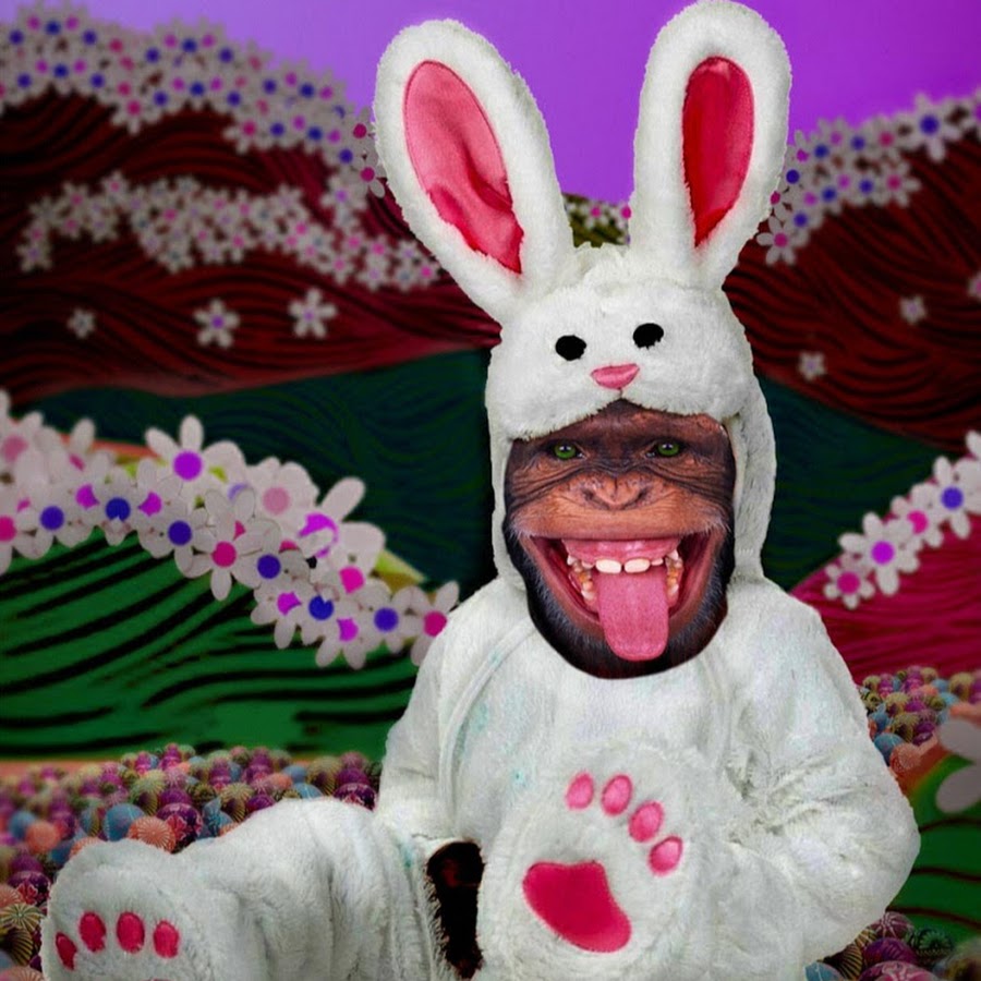 Funny bunny steam фото 113