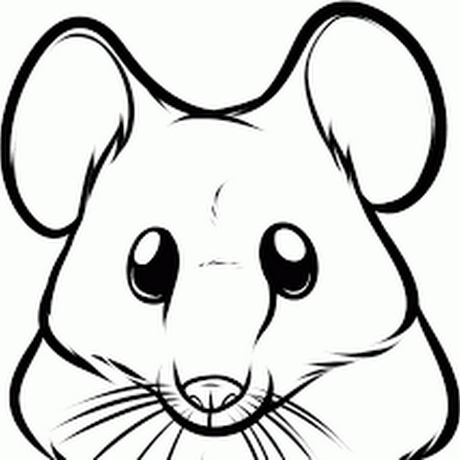 Mouse draw. Мышка рисунок. Мордочка мышки. Мышка черно белая. Рисунки мордытживотных.