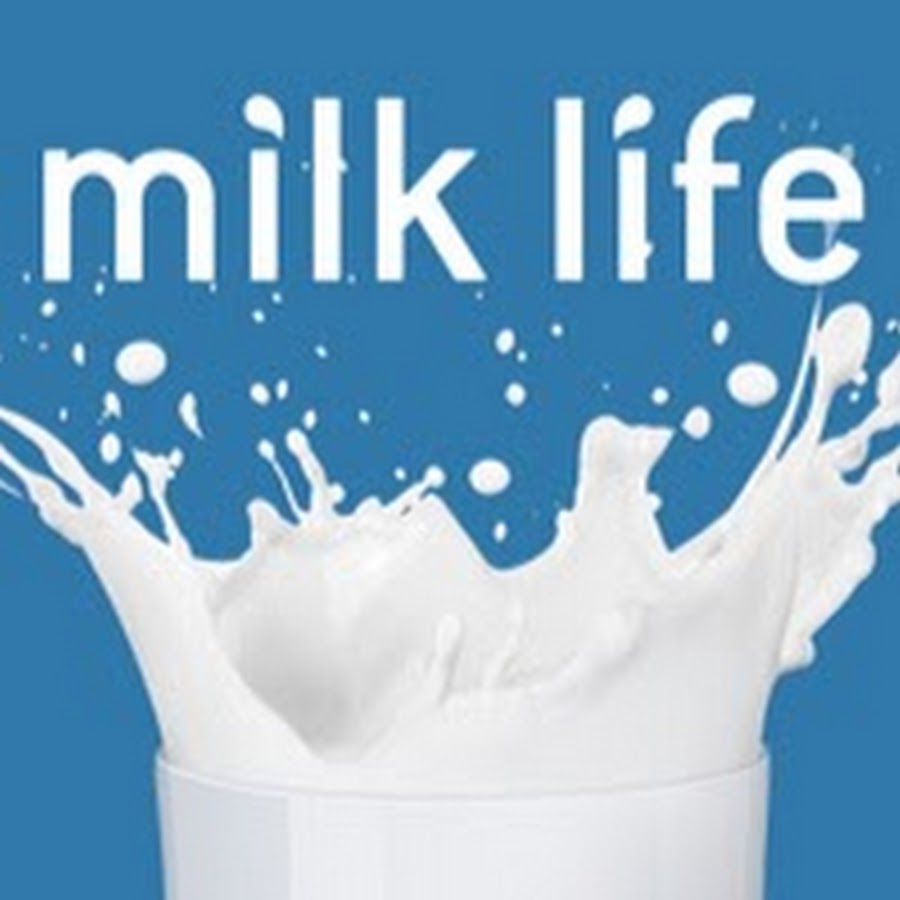 Yes milk. Life Milk. Milk Life, 2014. 5yes молоко. Хентайполи Милк лайф.