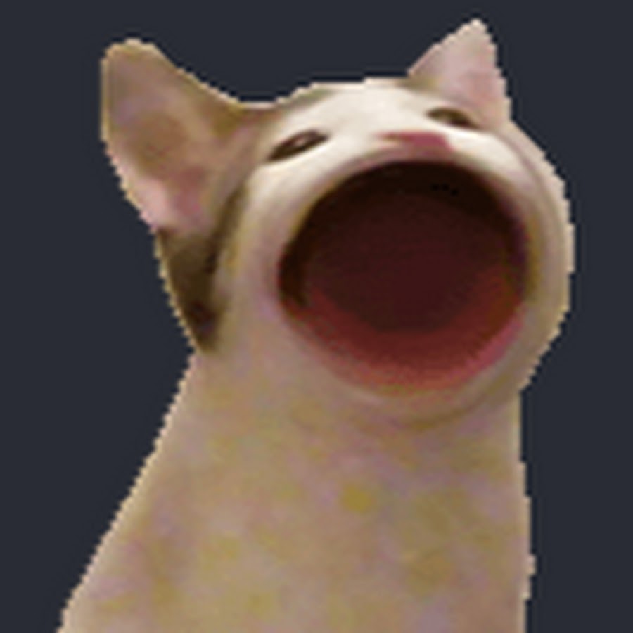 AOPolaRafxRUbWabimAUAF7PnyI4a9cJayZbbce7DHoi4w=s900ckc0x00ffffffnorj