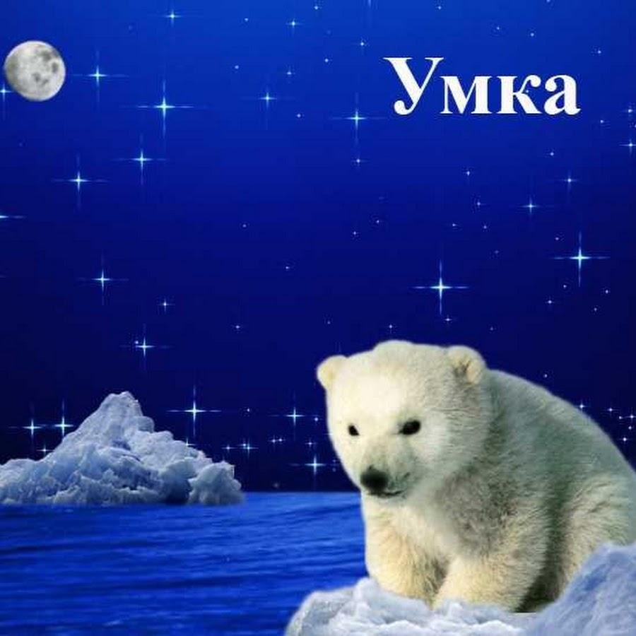 Умка. Медвежонок "Умка". Белый мишка Умка. Умка фото. Почему медвежонка зовут умка