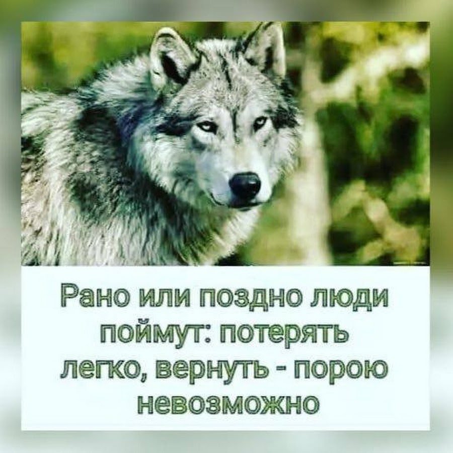 Позже этот человек. Потерять человека легко а вернуть невозможно. Рано или поздно люди поймут потерять легко вернуть. Потерять легко вернуть порою. Рано или поздно люди поймут.