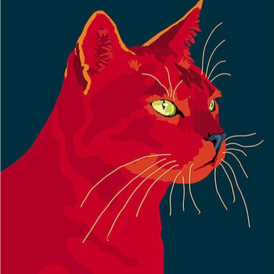Red cat папа. Красный кот. Кошка на Красном фоне. Эстетика красный кот. Ярко красный кот.