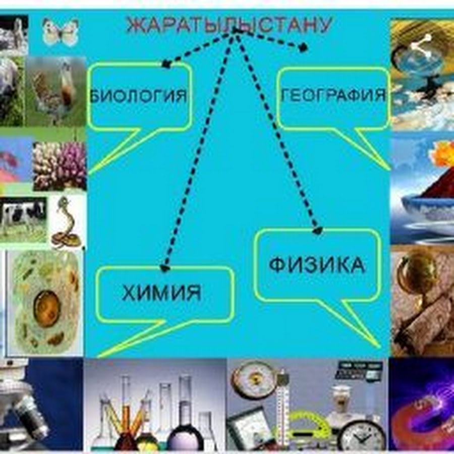 Физика химия география. Жаратылыстану. Физика и Табиғат. Жаратылыстану для презентация. Биология и география.