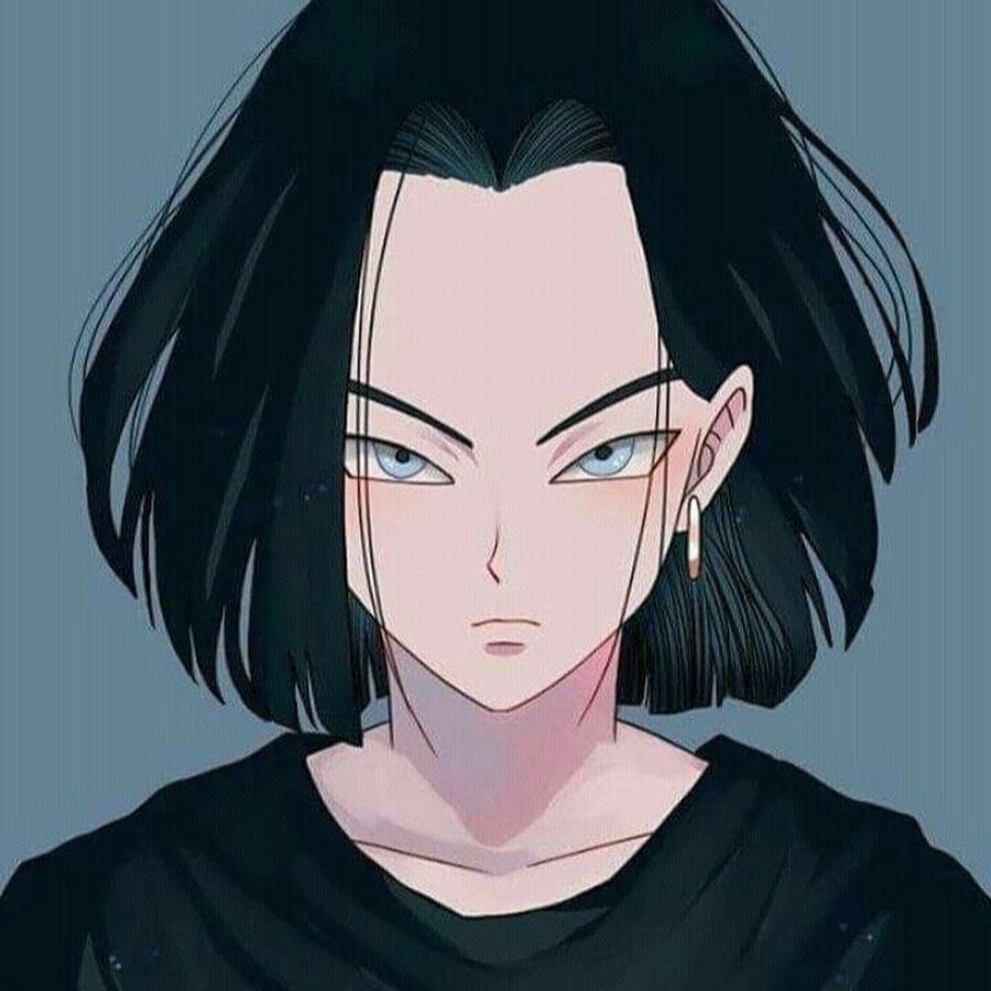 Android 17 art