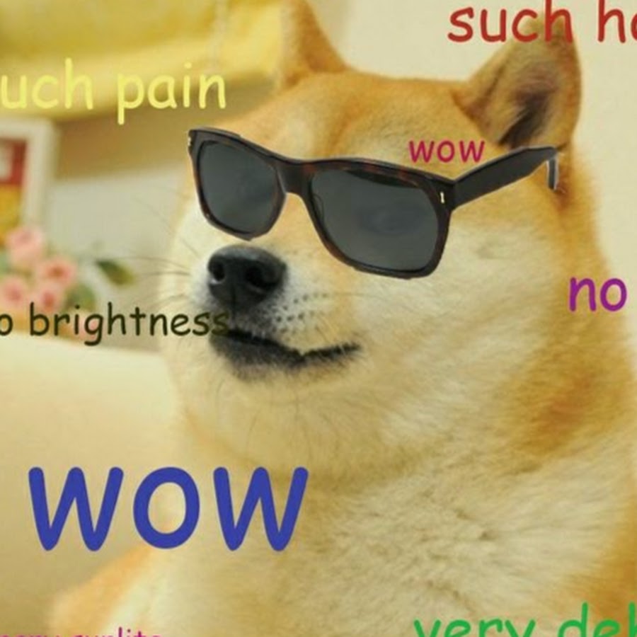 Such more. Wow so Doge. Doge meme wow. Much wow. Wow such Doge.