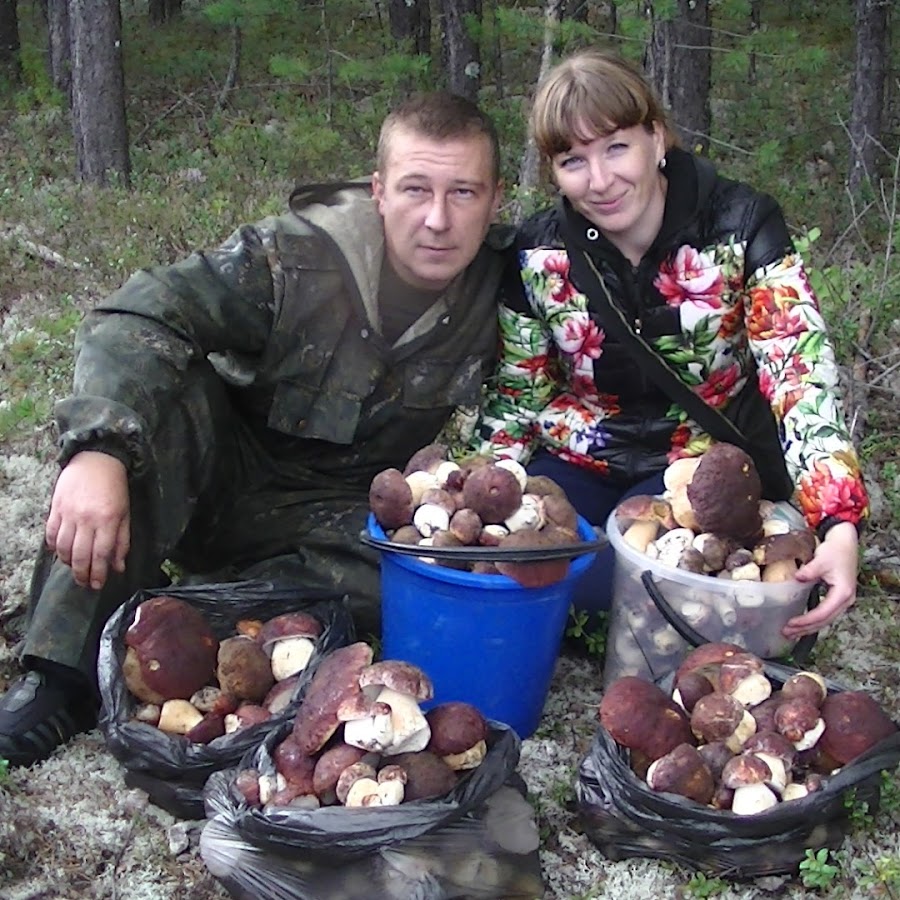 Рыбалка и грибалка в Сибири: последнее видео | Информационный ресурс