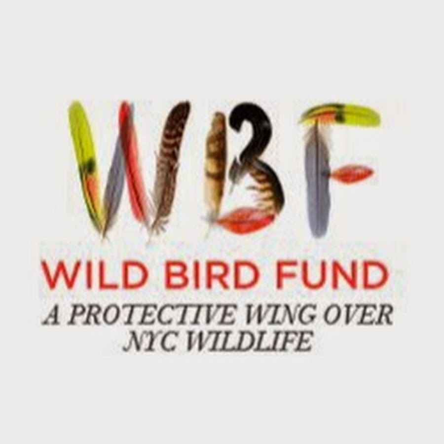 Rescue - Wild Bird Fund