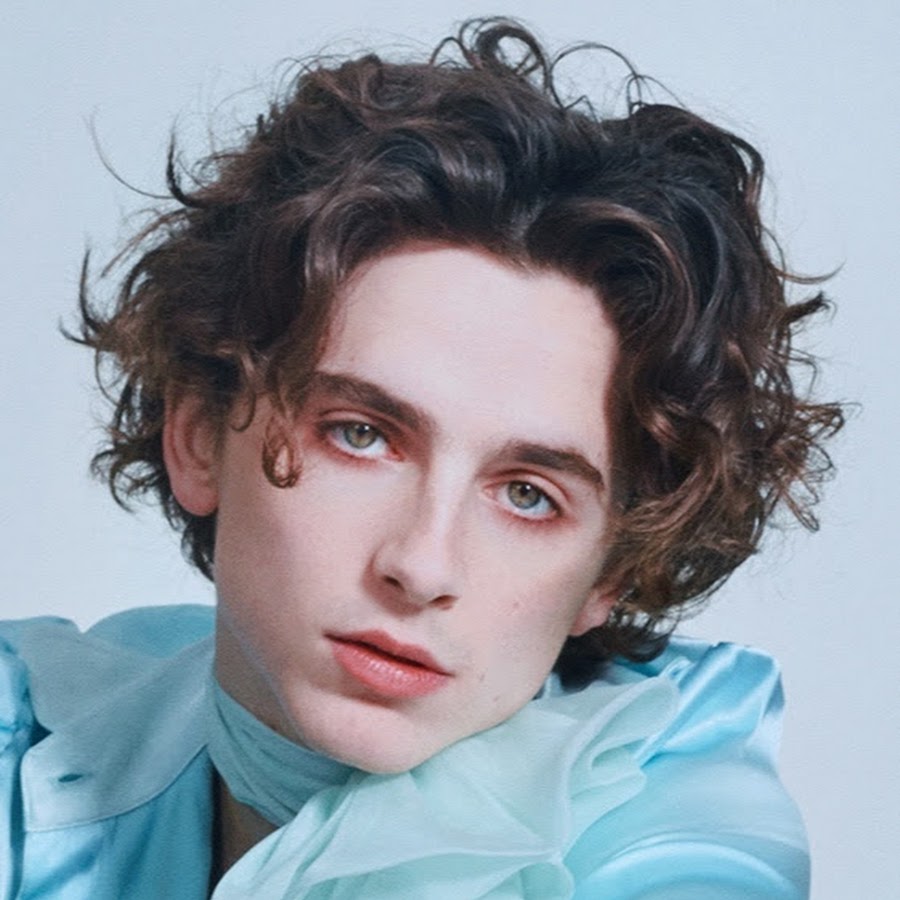 Timothee Chalamet's Wet Hairstyle at the Oscars 2020