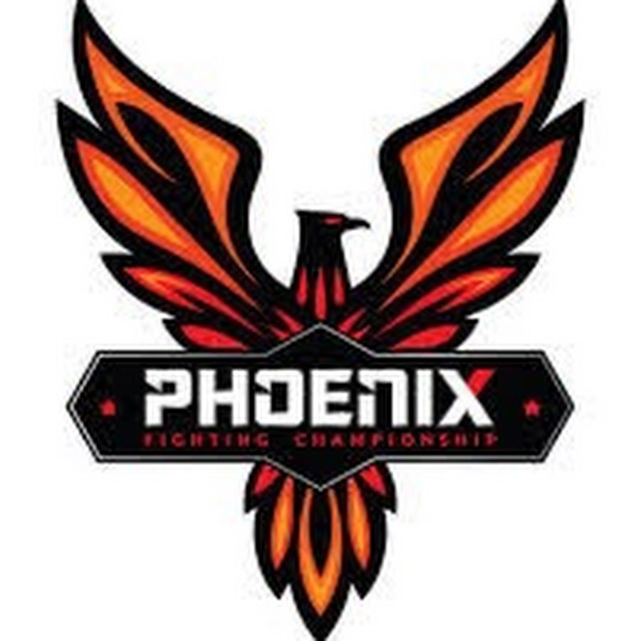 Phoenix gaming. Команда Феникс. Эмблема команды с названием Феникс. Шеврон Феникс. Феникс Юнайтед 2 акула.