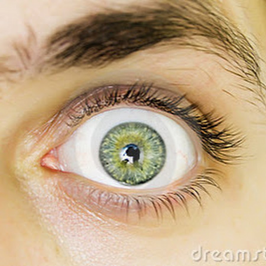 полностью открытые глаза. женские испуганыеглаза. глаз человека. открытый глаз. лицо с глазами.