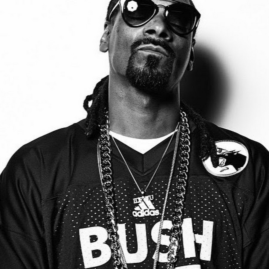 Рэпер снуп. Рэпер снуп дог. Снуп дог на аву. Snoop Dogg РЭПЕРЫ США. Снуп дог крутой.