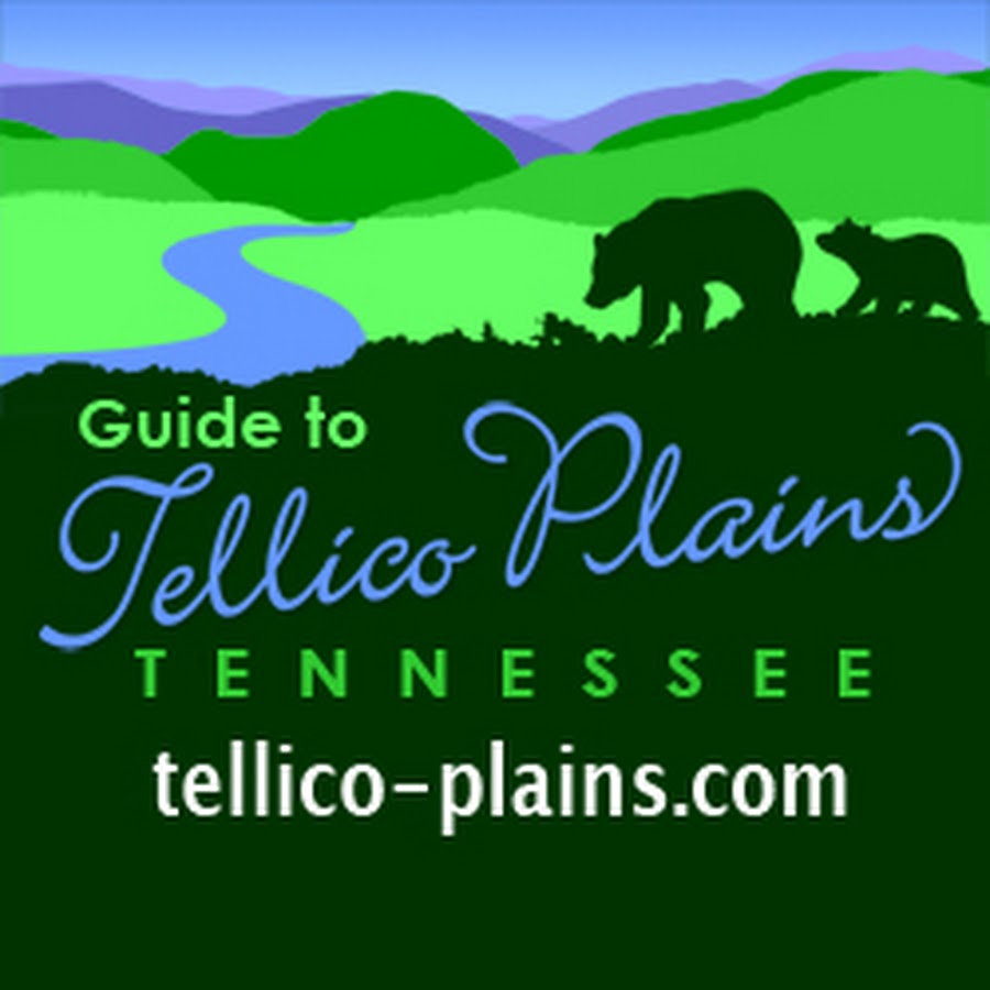 plains in tennessee