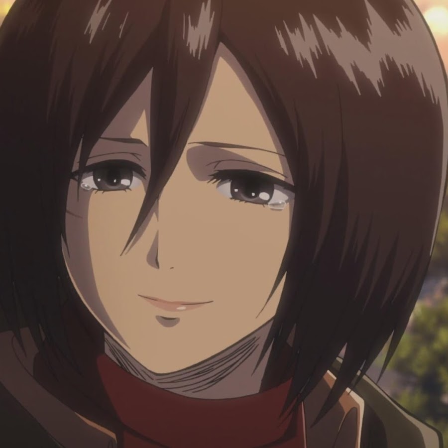 Mikasa steam profile фото 69