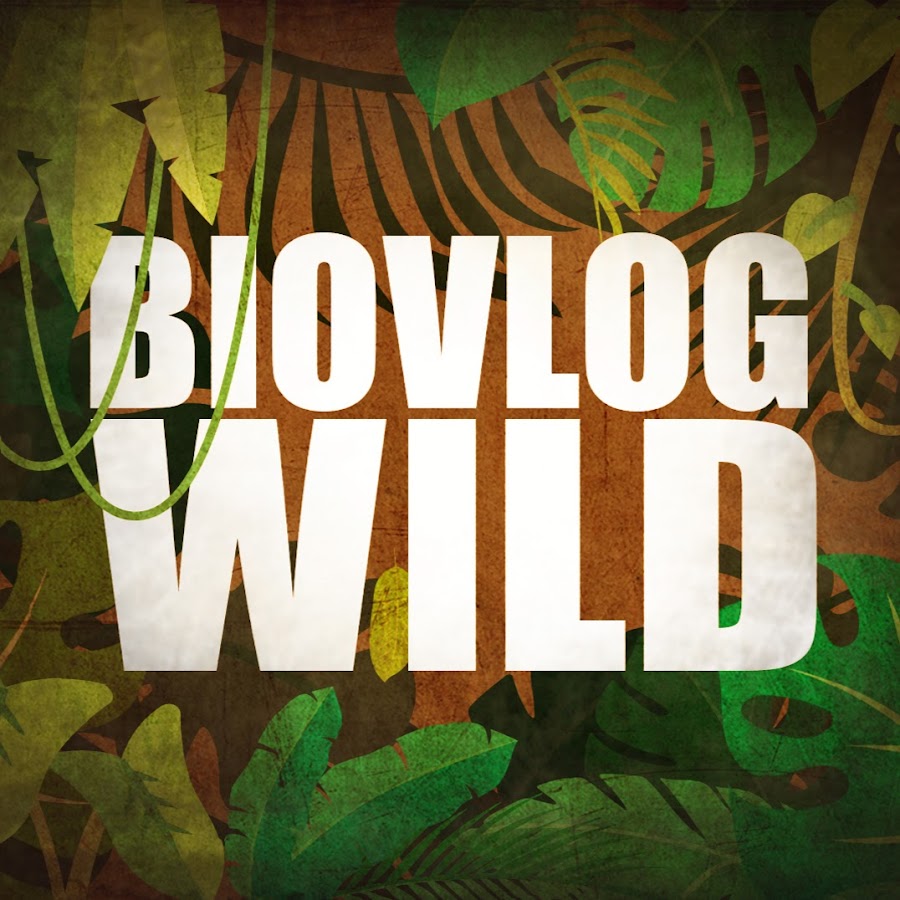 BioVlogWild @BioVlogWild