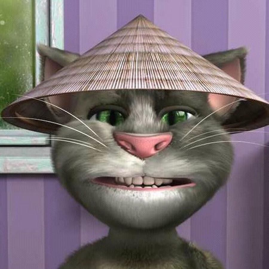 Саша 1000. Talking Tom Cat 2. Кот том в шляпе. Talking Tom Cat 2016. Ава с говорящим Томом. Прикол.