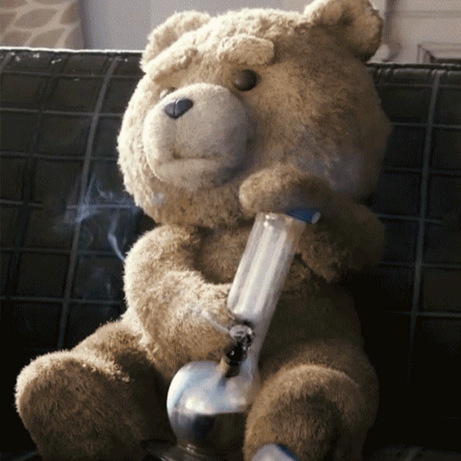 Teddy bear steam фото 20