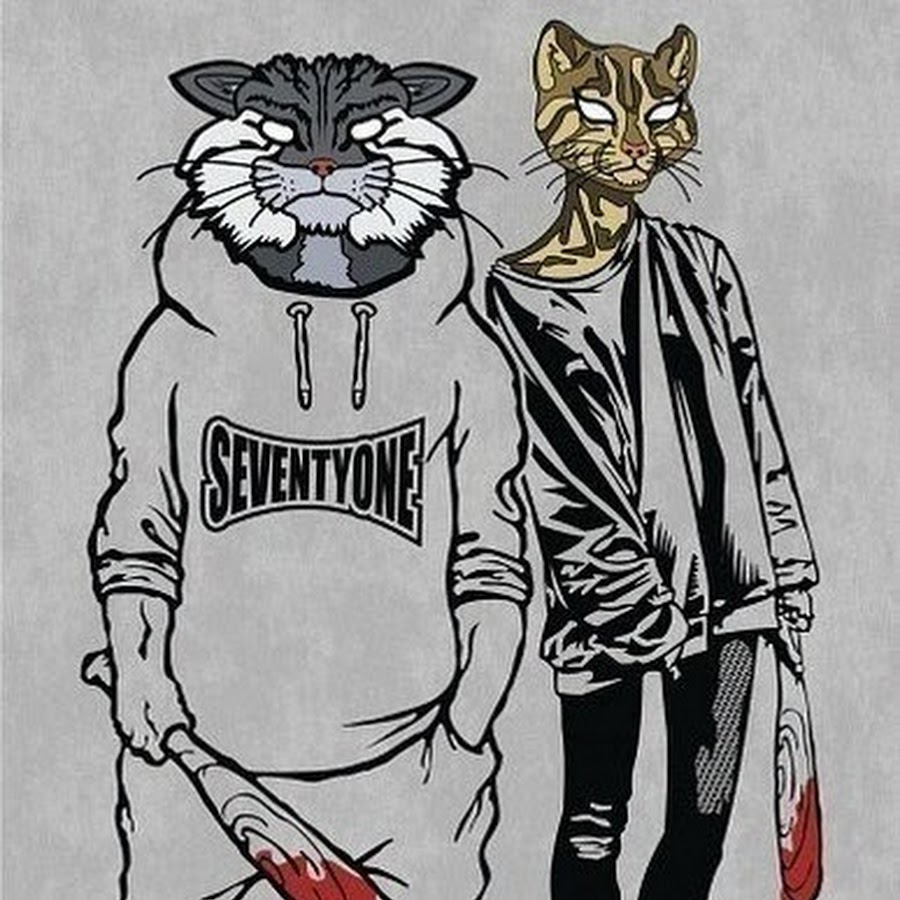 Бандит кот