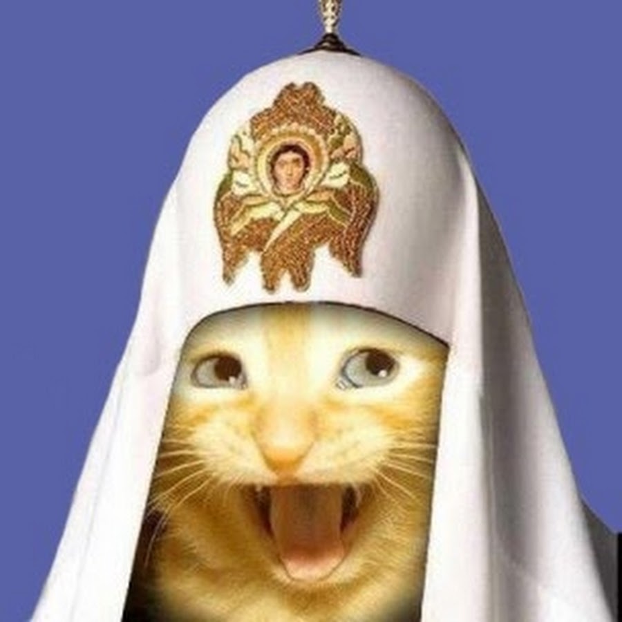 Кот католик