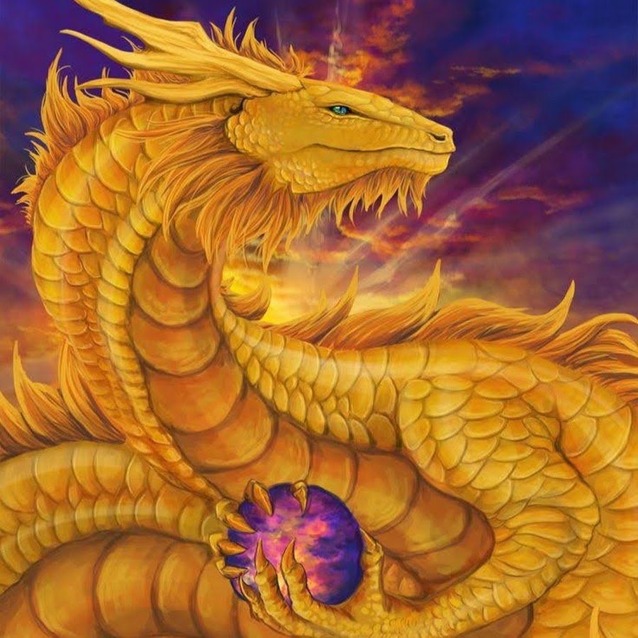 Включи золотой дракон. Дилун Земляной дракон. Zolotoy Drakon/золотой дракон. Орлангур золотой дракон. Китайский водяной дракон Дилун.