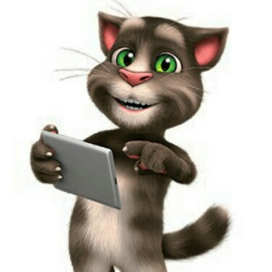 Можно говорящего тома. Талкинг том. Tom говорящий. Кота Тома. Talking Tom на белом фоне.