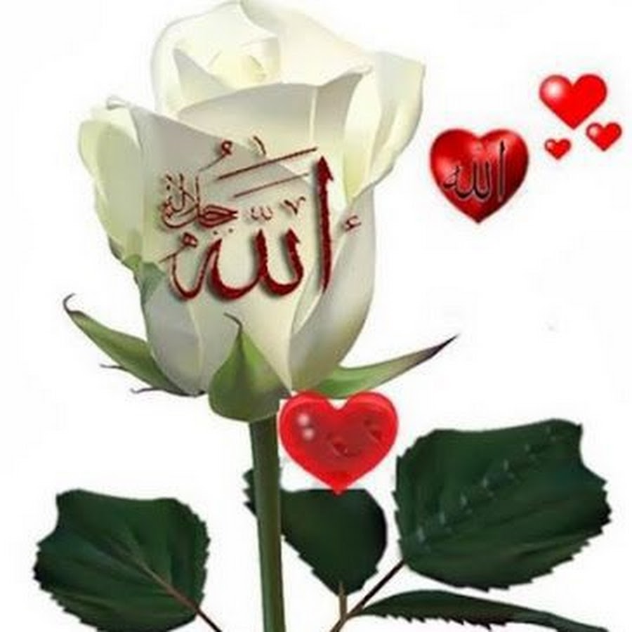 Мусульманские пожелания доброго. Мусульманские цветы. Добрые пожелания на арабском. Цветы с мусульманскими надписями.