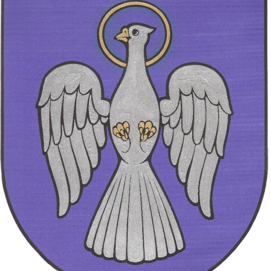 Птица изображена на гербе. Птица на эмблеме сша. Республика чили герб. Изображение российского орла. Орлан белохвост красная книга югры.