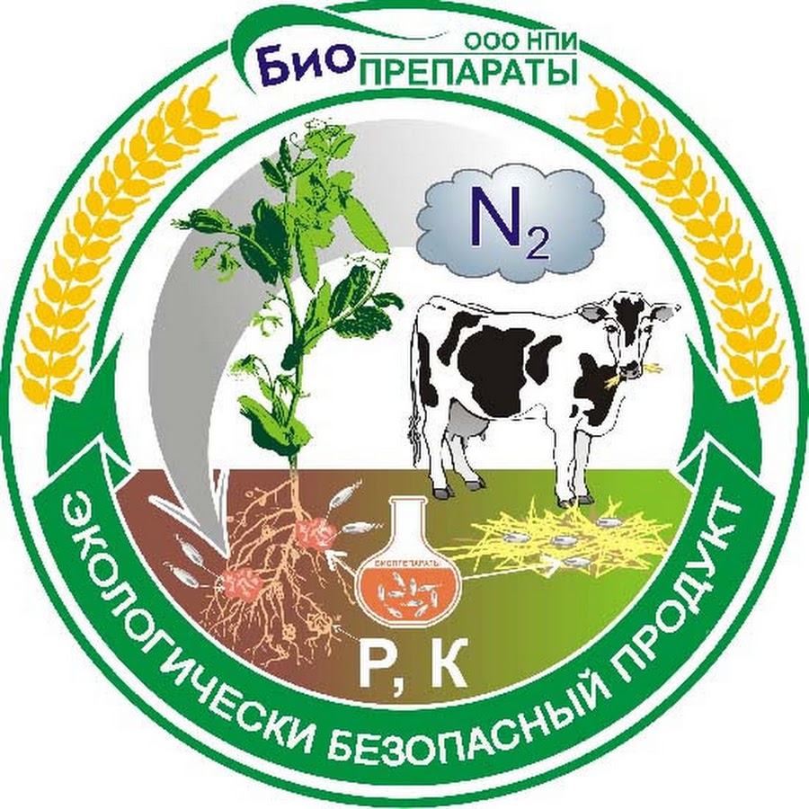 Ооо г казань. Биопрепараты НПИ. Биопрепараты лого. НИИ биопрепарат. НПИ биопрепараты Казань,биоинсектицид.