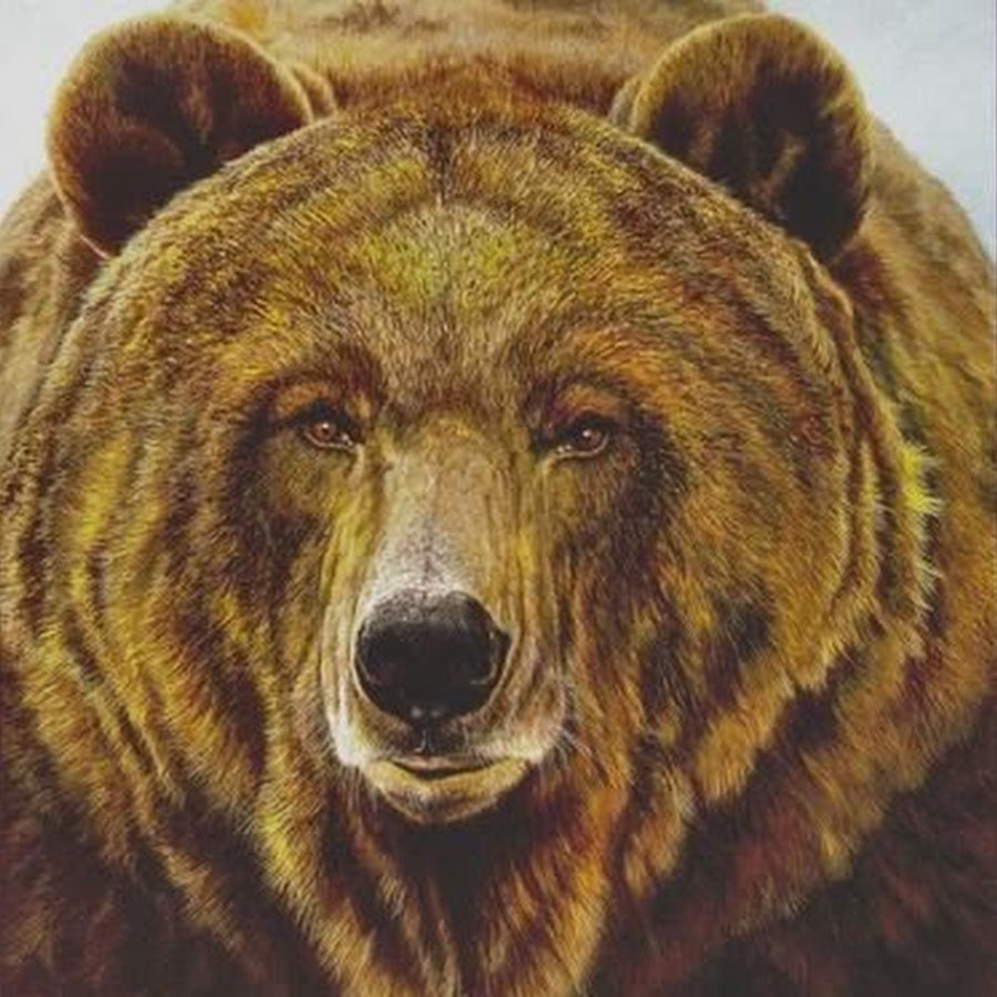 Мудрый медведь. Вышивка медведь. Тотем медведь. Славянский медведь. Славянский Тотем медведь.