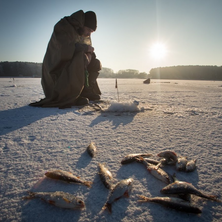 Live fishing. Рыбалка в лайке. Боже для рыбалки. Счастливая улыбка лайки на рыбалке зима.