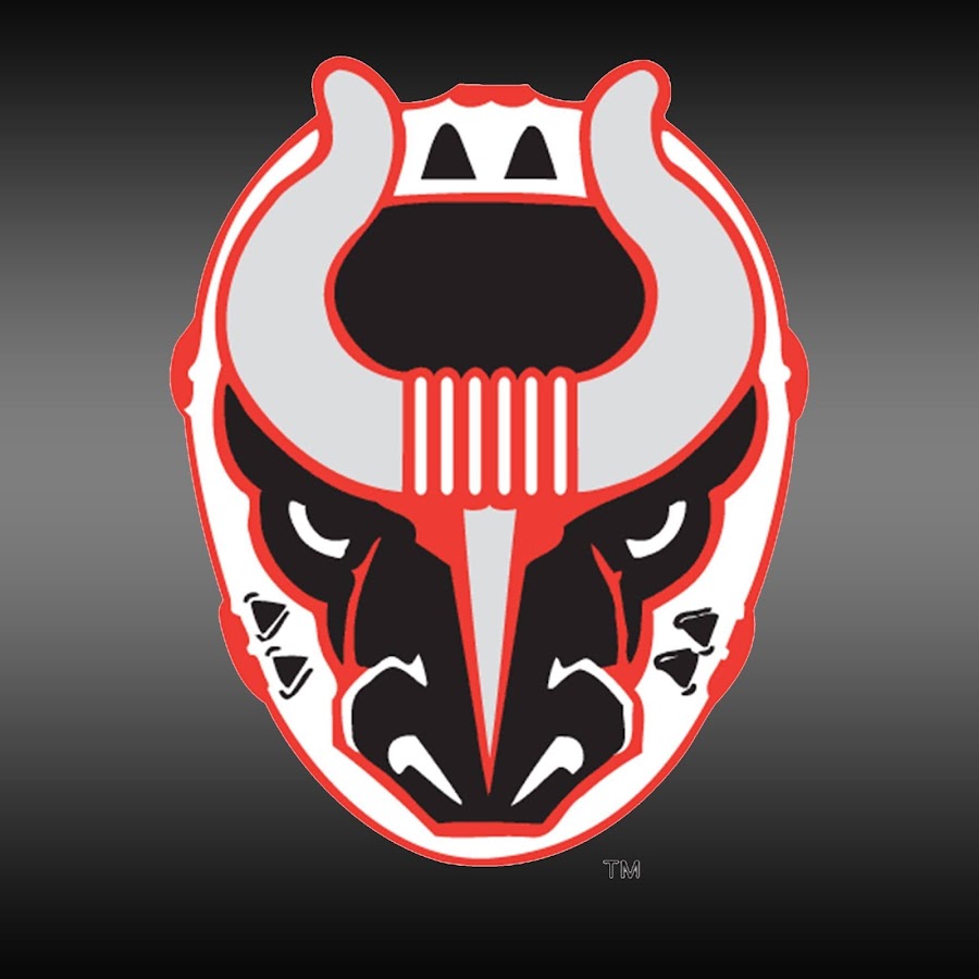 Birmingham Bulls Mascot  Mascot, Hockey logos, Hockey goalie