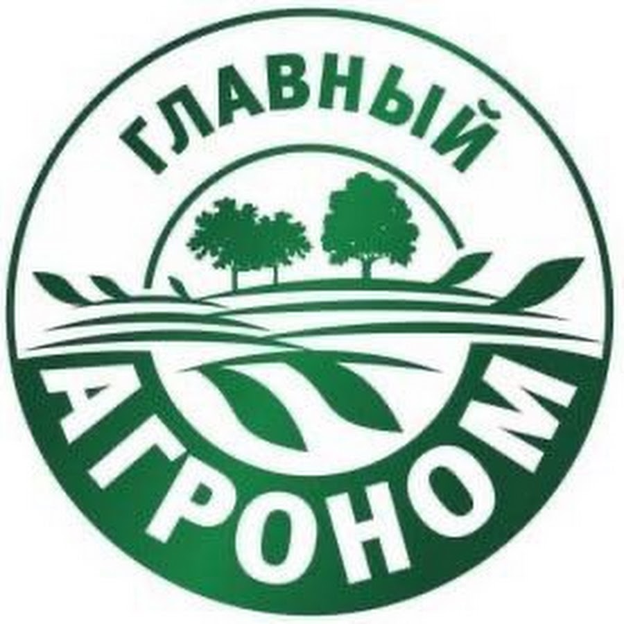 Агроном ул ленина 63а фото