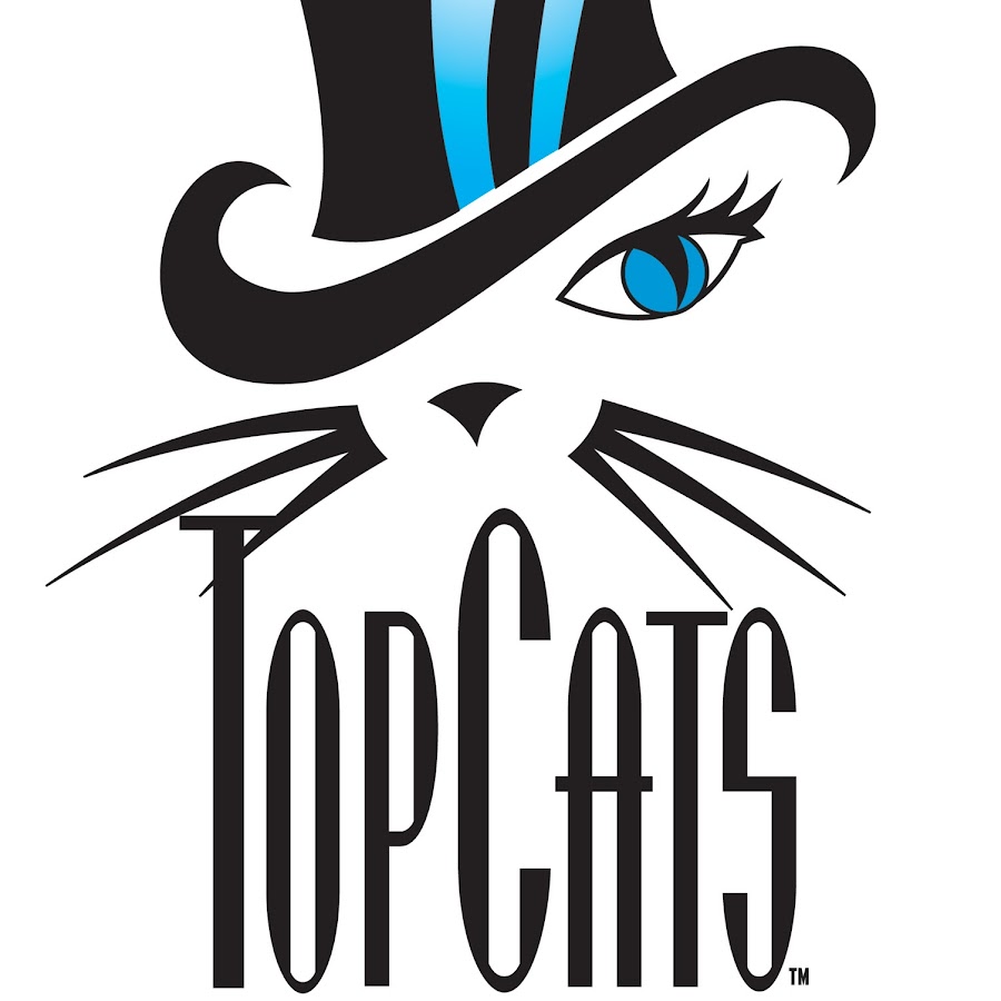 Carolina Panthers Top Cats!