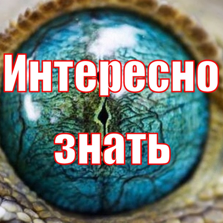 Это интересно картинки. Это интересно знать. Картинка это интересно знать. Это интересно знать надпись. Самое интересное надпись.