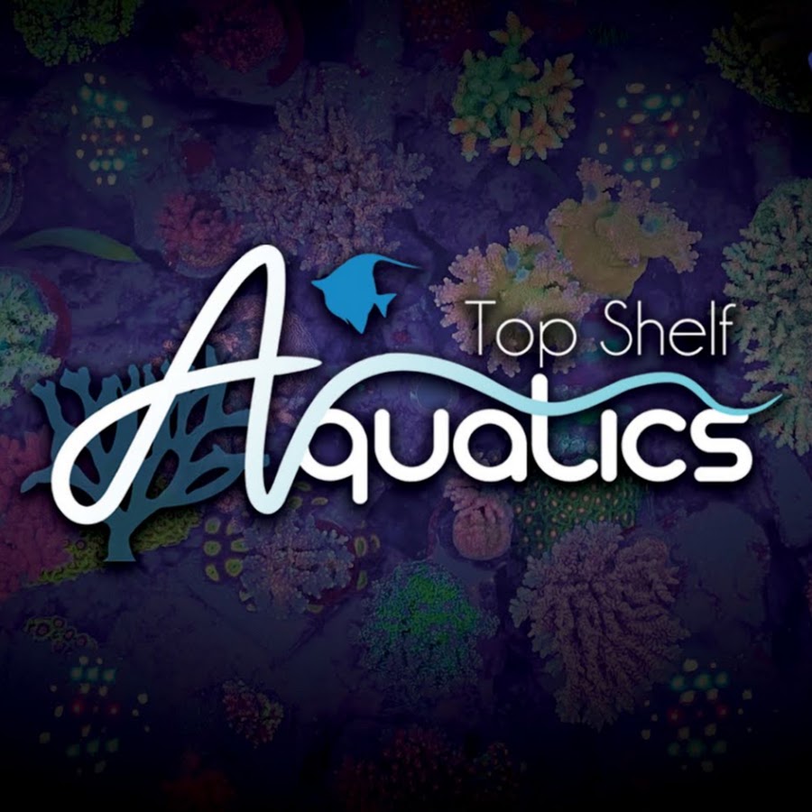 Top Shelf Aquatics -